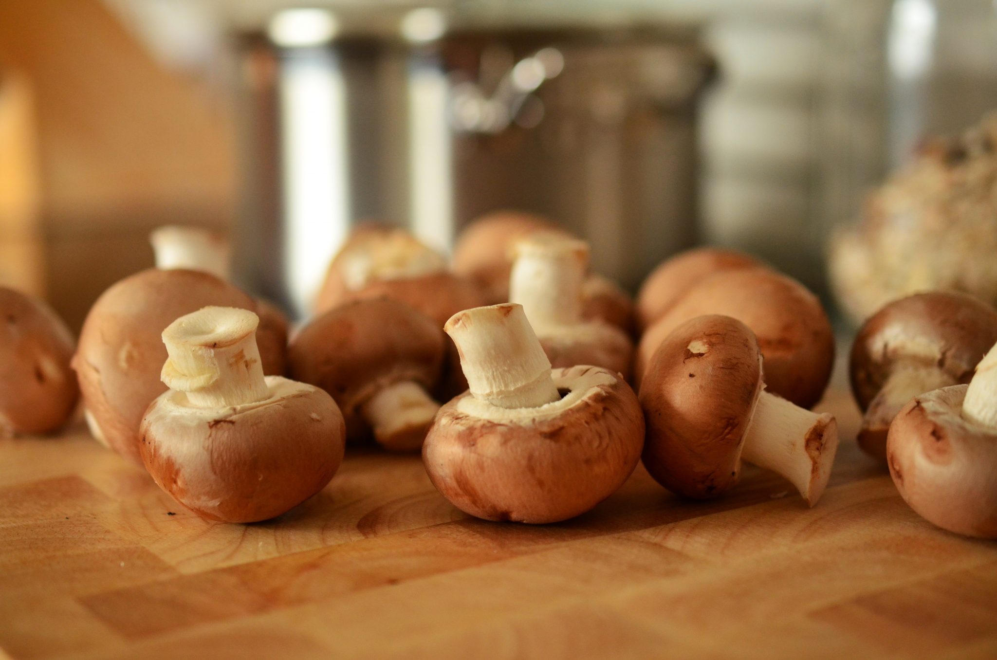 brown-mushrooms-close-cook-36438.jpg